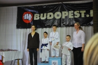 Kisoroszlán Utánpótlás Karate Verseny